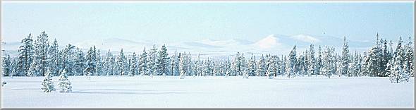 View to the Norwegian mountains